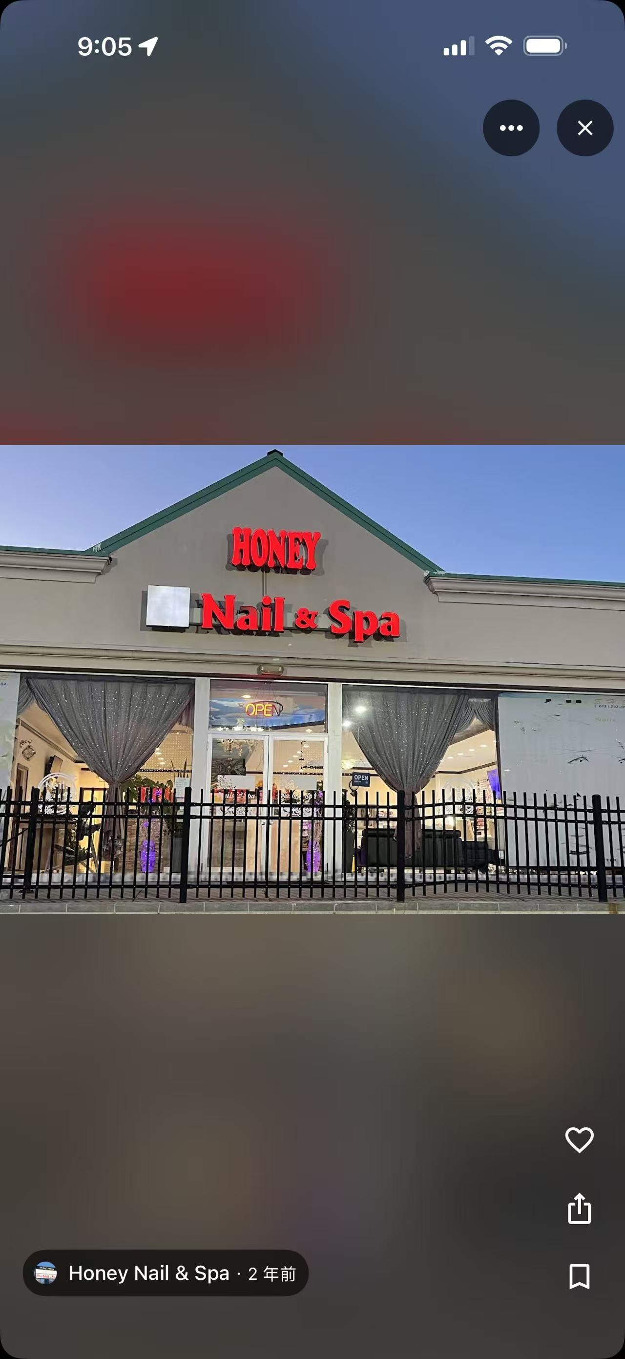 Professional Nail Artists